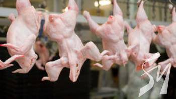 Євросоюз скасував обмеження на імпорт курятини з України 